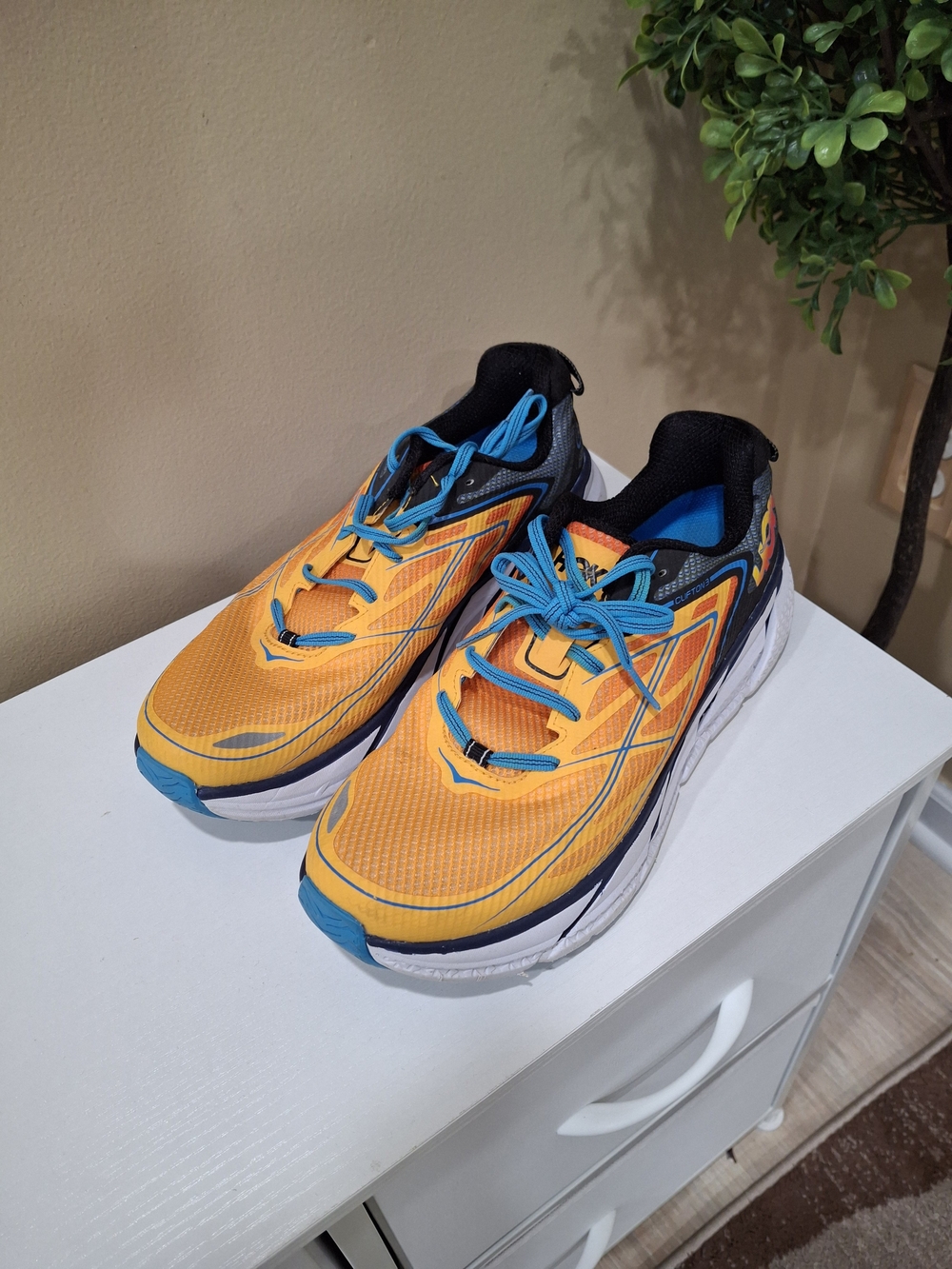 Hoka One One Clifton 3